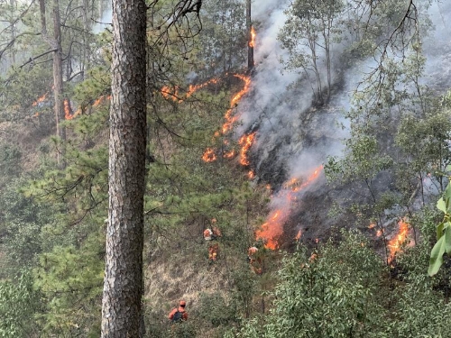 5cd278d7d04db 5cd278d7d04db