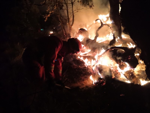 5cd278d768943 5cd278d768943