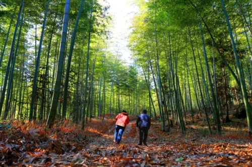 1124466986_15572993123411n 1124466986_15572993123411n