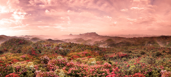 1124471445_15573725140461n 1124471445_15573725140461n