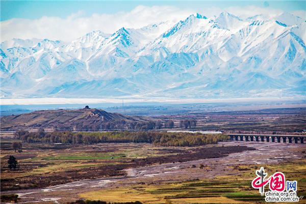 W020190508357654867448 W020190508357654867448