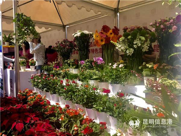 品牌展示區(qū)3 品牌展示區(qū)3