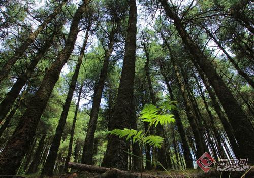 00300614562_88f1303b 00300614562_88f1303b