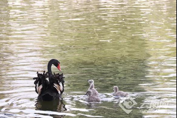 00300616643_cefadaa1 00300616643_cefadaa1