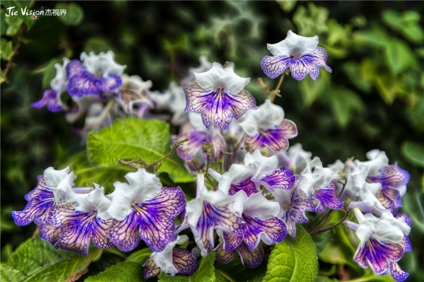 2c6c7a3f-b32a-467c-be45-9986f28ad252 2c6c7a3f-b32a-467c-be45-9986f28ad252