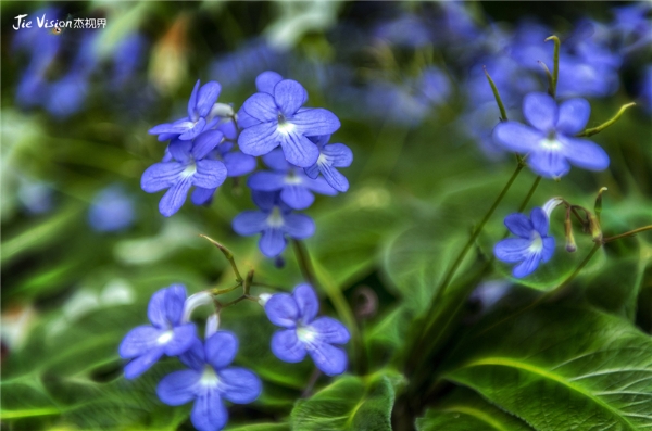 0fd73dd4-8ca2-4ab7-a19e-47e3c56b9130 0fd73dd4-8ca2-4ab7-a19e-47e3c56b9130