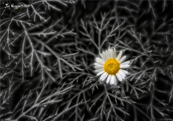 c7fc1731-afe8-4424-a1c8-53f9a9520440 c7fc1731-afe8-4424-a1c8-53f9a9520440