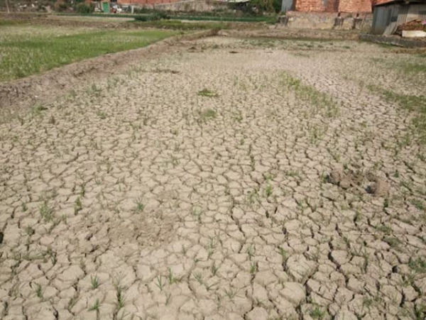 9a9aedce-11c8-4687-a5a4-5a149db04125_w640 9a9aedce-11c8-4687-a5a4-5a149db04125_w640