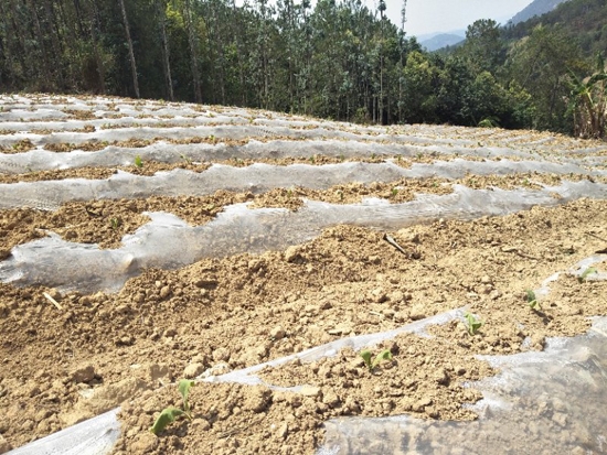 62c3885f-29b4-492b-8b1c-da6481524b0c 62c3885f-29b4-492b-8b1c-da6481524b0c