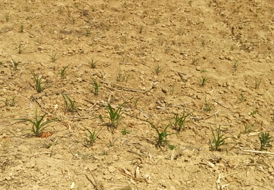 c72030ef-7776-4323-ba63-a7d82bfafa7c c72030ef-7776-4323-ba63-a7d82bfafa7c