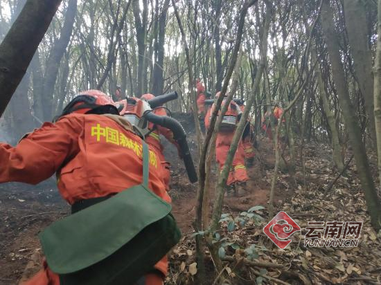 00300623410_7c54d9c3 00300623410_7c54d9c3