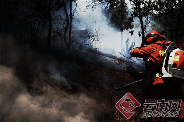 00300624591_6d3682c2 00300624591_6d3682c2