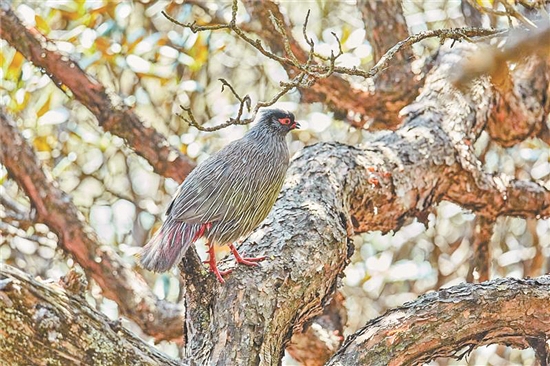 2019051608_res03_attpic_brief