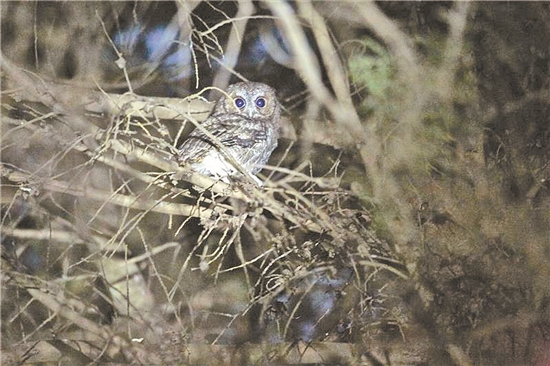 2019051608_res19_attpic_brief