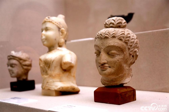 1557971863115829.jpg 11.jpg