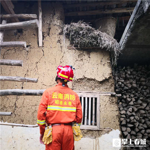 5cdccd5594137 5cdccd5594137