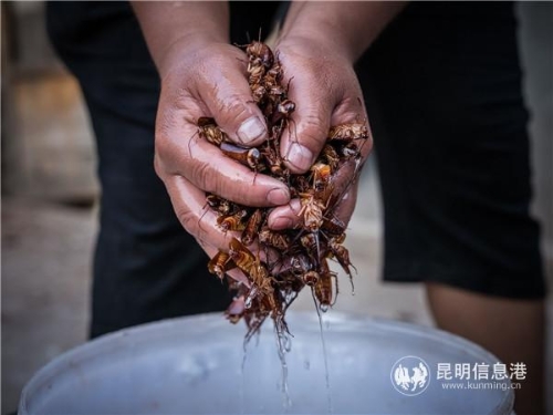 QQ圖片20190516184252 QQ圖片20190516184252