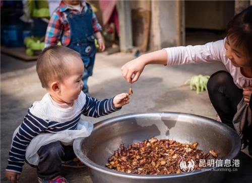 QQ圖片20190516184247 QQ圖片20190516184247