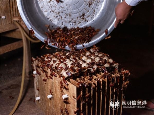 QQ圖片20190516184259 QQ圖片20190516184259