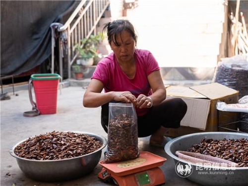 QQ圖片20190516184306 QQ圖片20190516184306