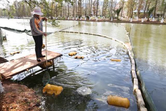 滇池治理多種黑科技打出“組合拳” 高偉攝9