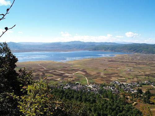 麗江拉市海高原濕地22