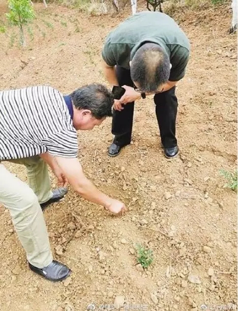 640.webp (10) 640.webp (10)