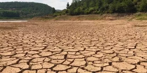 640.webp (11) 640.webp (11)