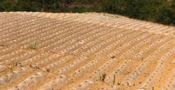 640.webp (13) 640.webp (13)