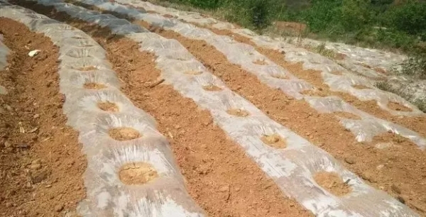 640.webp (14) 640.webp (14)