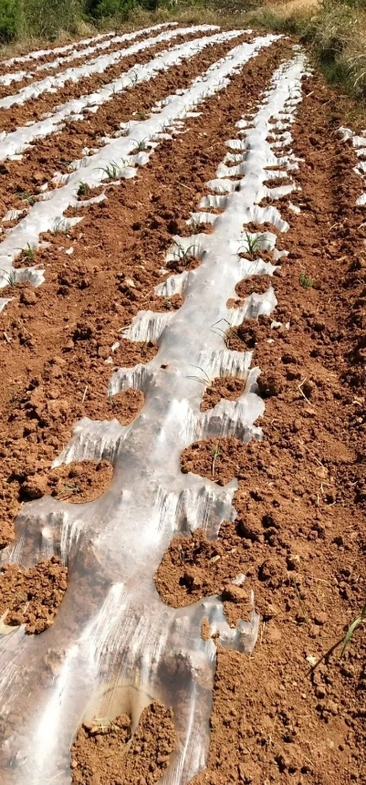 640.webp (15) 640.webp (15)