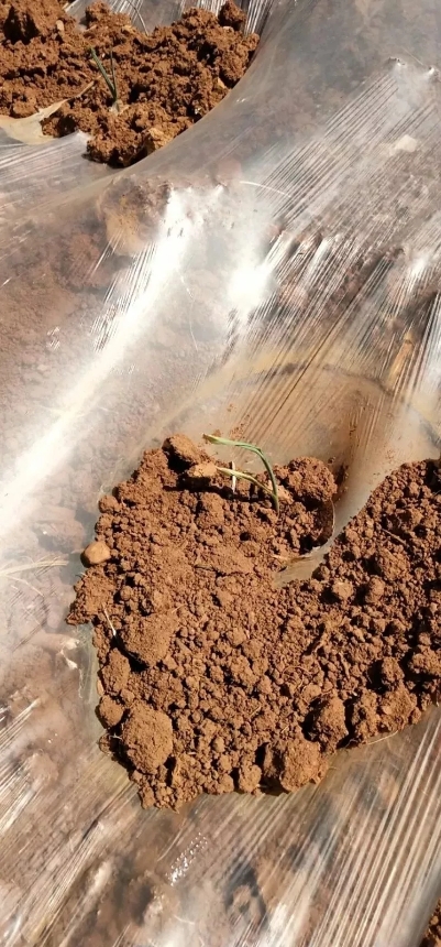 640.webp (16) 640.webp (16)