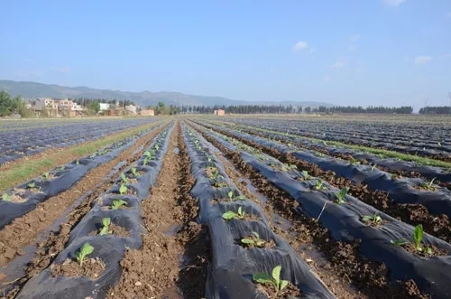 640.webp (18) 640.webp (18)