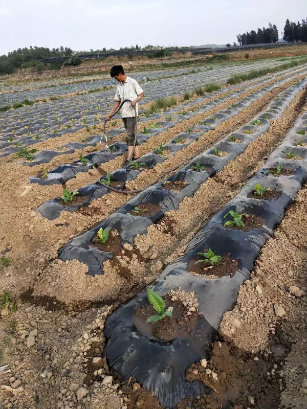 640.webp (20) 640.webp (20)