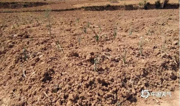 640.webp (21) 640.webp (21)