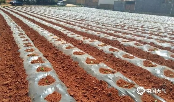 640.webp (22) 640.webp (22)