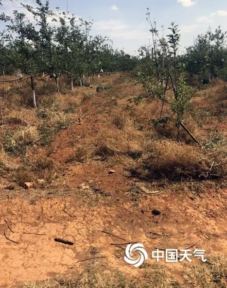 640.webp (23) 640.webp (23)