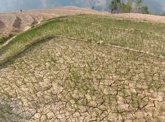 640.webp (25) 640.webp (25)