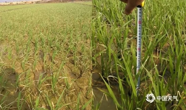 640.webp (27) 640.webp (27)