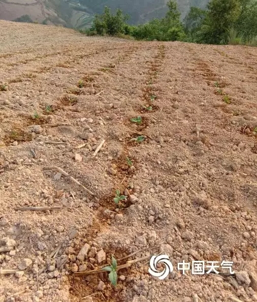 640.webp (28) 640.webp (28)