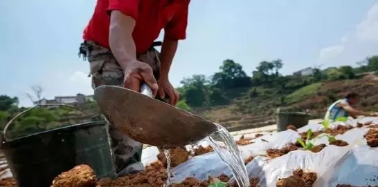 640.webp (32) 640.webp (32)