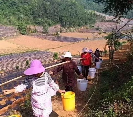 640.webp (33) 640.webp (33)