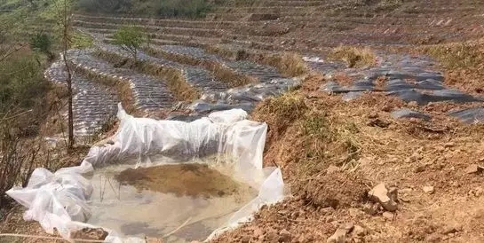 640.webp (36) 640.webp (36)