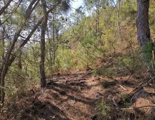 640.webp (37) 640.webp (37)