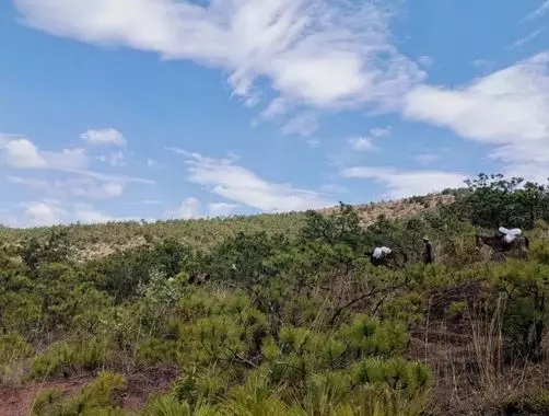 640.webp (38) 640.webp (38)