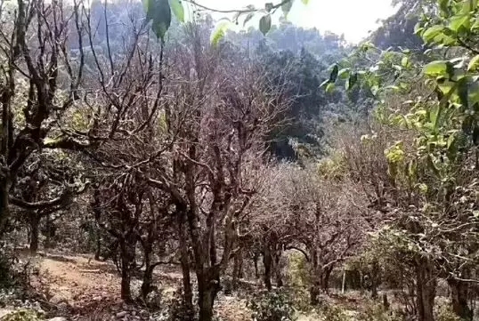 640.webp (41) 640.webp (41)