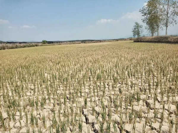 640.webp (42) 640.webp (42)