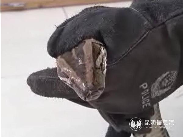 QQ截圖20190517162156 QQ截圖20190517162156