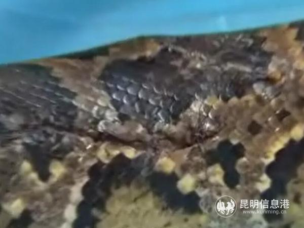 QQ截圖20190517162330 QQ截圖20190517162330