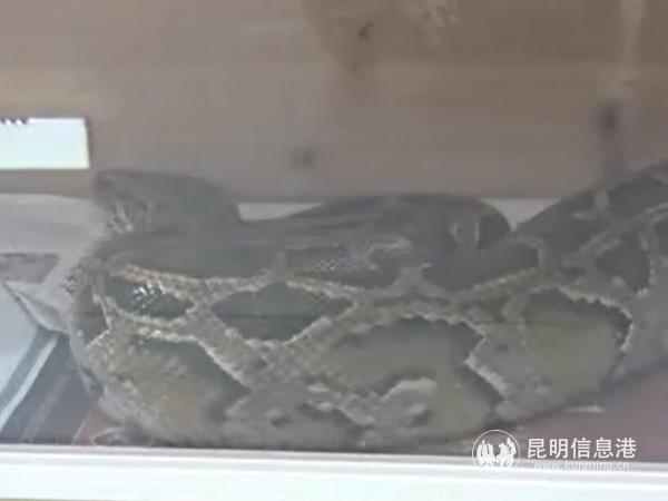 QQ截圖20190517162402 QQ截圖20190517162402